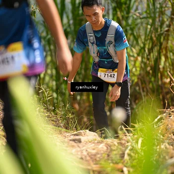 Runner Photo 5277331