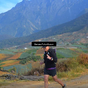 Runner Photo 5277381