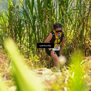 Runner Photo 5277414