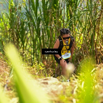Runner Photo 5277416