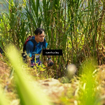 Runner Photo 5277451