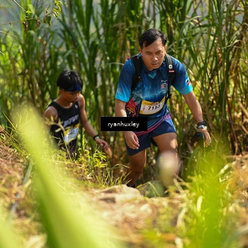 Runner Photo 5277466