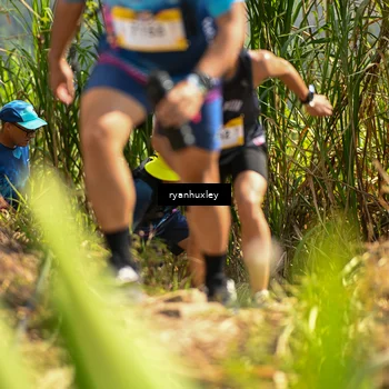 Runner Photo 5277475