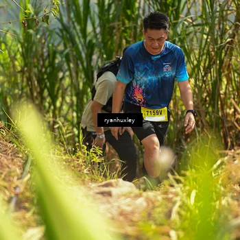 Runner Photo 5277511