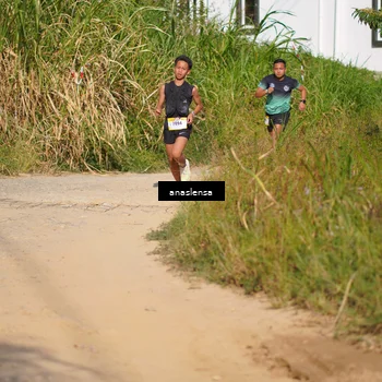 Runner Photo 5277513