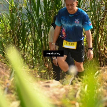 Runner Photo 5277529