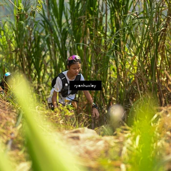 Runner Photo 5277536