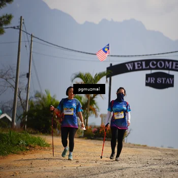 Runner Photo 5277585
