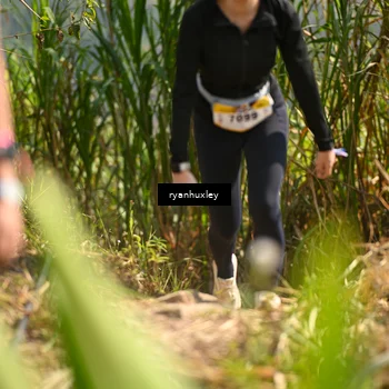Runner Photo 5277587