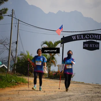Runner Photo 5277592