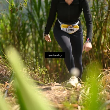 Runner Photo 5277597