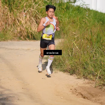 Runner Photo 5277610