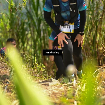 Runner Photo 5277611