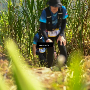 Runner Photo 5277612