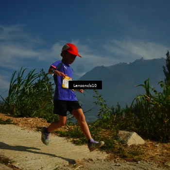 Runner Photo 5277616