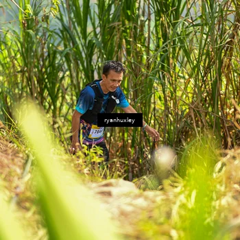 Runner Photo 5277642