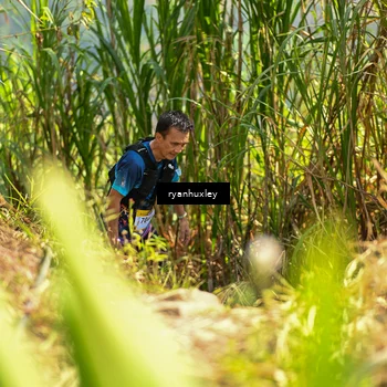 Runner Photo 5277643