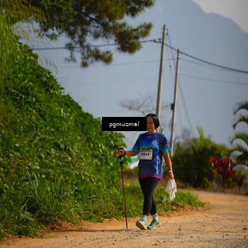 Runner Photo 5277651