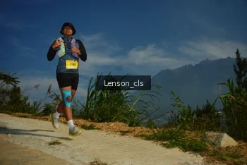 Runner Photo 5277705