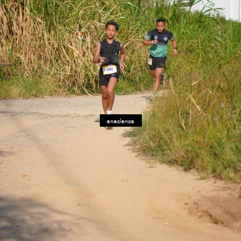 Runner Photo 5277740