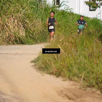 Runner Photo 5277741
