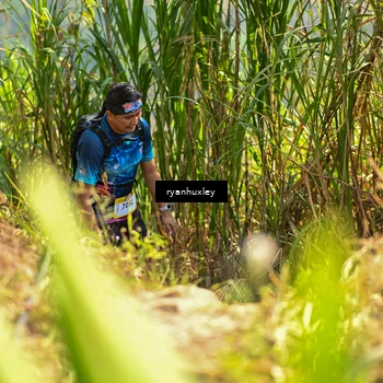 Runner Photo 5277756