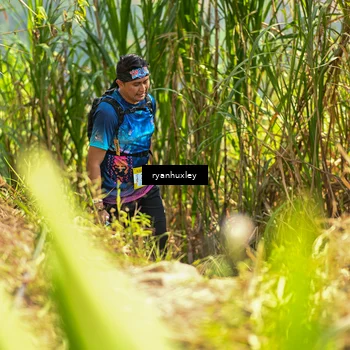 Runner Photo 5277763