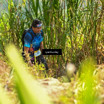 Runner Photo 5277768