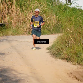 Runner Photo 5277854