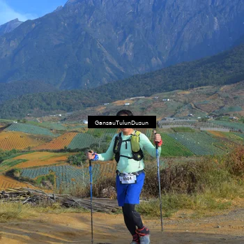 Runner Photo 5277863