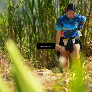 Runner Photo 5277869