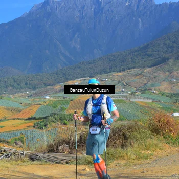 Runner Photo 5277885