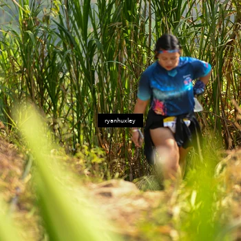 Runner Photo 5277919