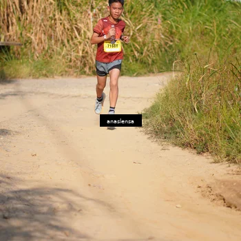 Runner Photo 5277923