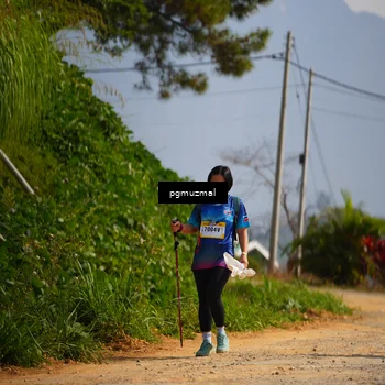Runner Photo 5278064