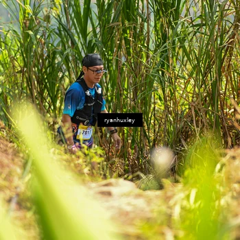 Runner Photo 5278259