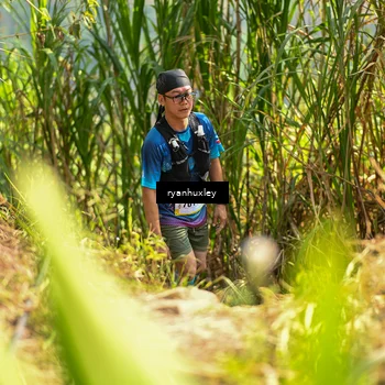 Runner Photo 5278281