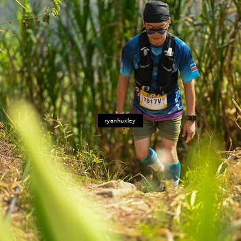 Runner Photo 5278294