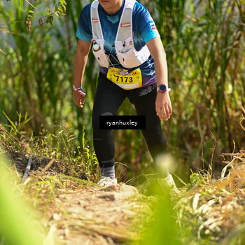 Runner Photo 5278413
