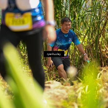 Runner Photo 5278421