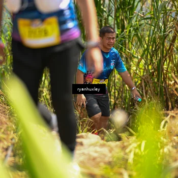 Runner Photo 5278422