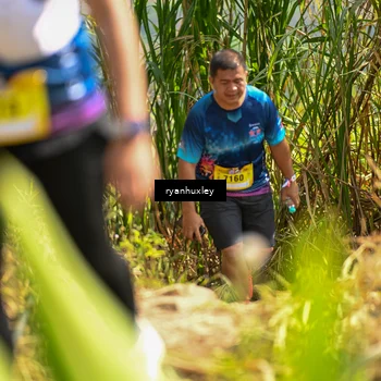 Runner Photo 5278427