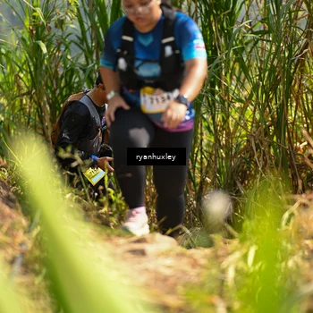 Runner Photo 5278498