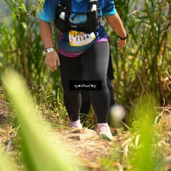 Runner Photo 5278500