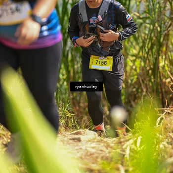 Runner Photo 5278505