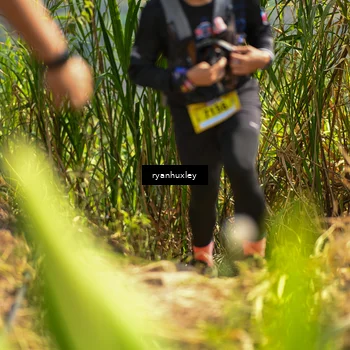 Runner Photo 5278508