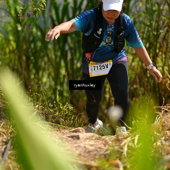 Runner Photo 5278558