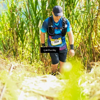 Runner Photo 5278581