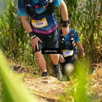Runner Photo 5278594