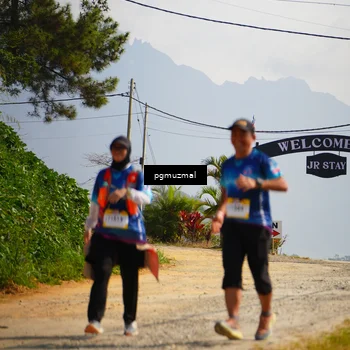Runner Photo 5278601